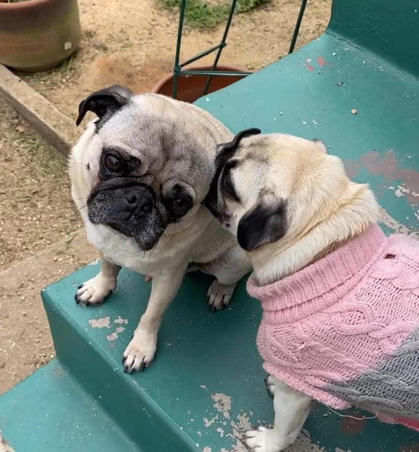 20240817-005609208-a098-04b7b7fbe2a3_kimmie and notorious.jpg